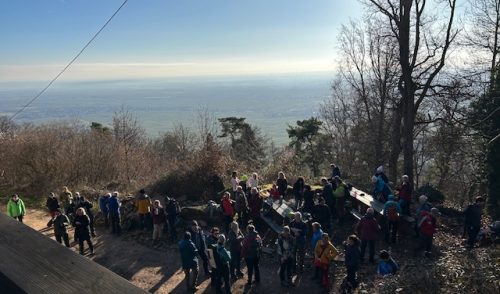 Artikelbild zu Artikel Jahresabschlusswanderung 2025 – Gemeinsam unterwegs mit Rekordbeteiligung